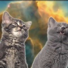Space Cats - Magic Fly (Spank0) [VIDEO IN DESCRIPTION]
