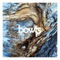 Bowts Earn&#x20;&amp;&#x20;Own Artwork