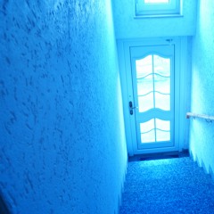 Midnight Blue