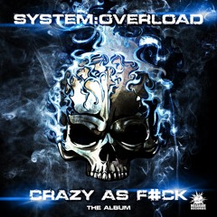 System Overload - Crazy As F#ck