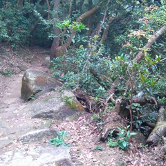 KK09827466 Mobile Vocal King Beneath The Lion Rock 獅子山下的流動歌王