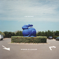 Kim Brown - Transparent