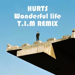 Hurts - Wonderful Life (T.I.M REMIX)