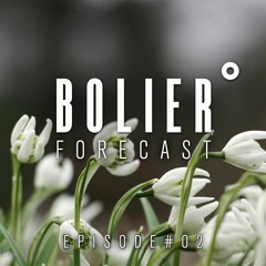 Bolier - FORECAST #02