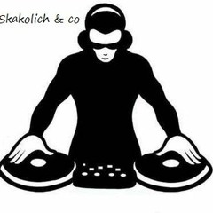 Skakolich & Co - He's A Pirate Remix