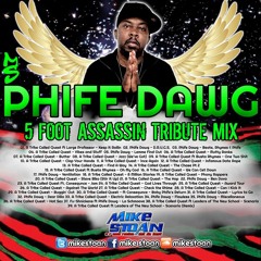 Phife Dawg - 5 Foot Assassin Tribute Mix