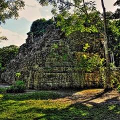 Sacred Jungle