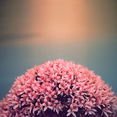 Exitpost — Intro [Odori]