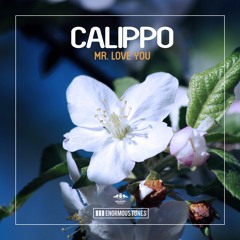 Calippo - Mr. Love You (Radio Mix)