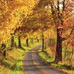 Take Me Home, Country Roads