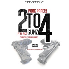 2 to 4Gunz Ft. SS Rico