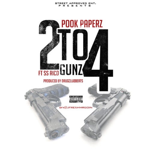 2 to 4Gunz Ft. SS Rico