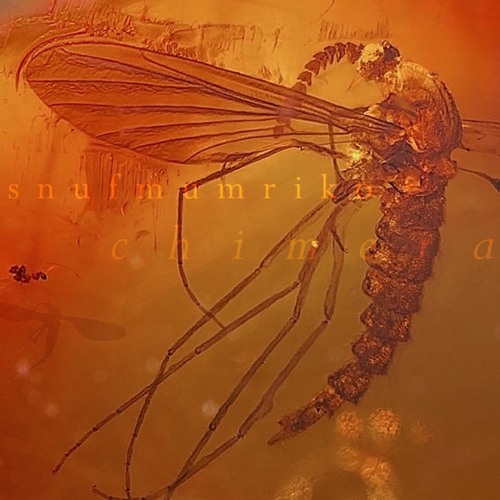 Snufmumriko - Chimera 0630 [excerpt from LAGER001 Chimera]