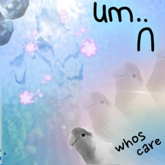 whos care