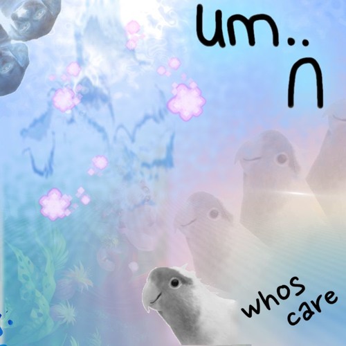whos care