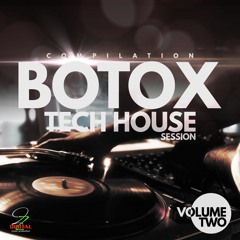 Ibiza Holiday (Tech Mix) Released by 2zDigital [BOTOX TECH HOUSE SESSION, VOL. 2]