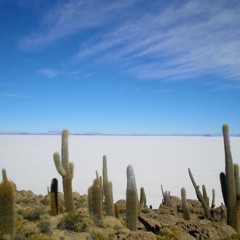 I Wish It Would Rain HP Remix