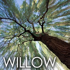 WILLOW