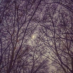 Loneliness Adds Beauty To Life [Mixtape]