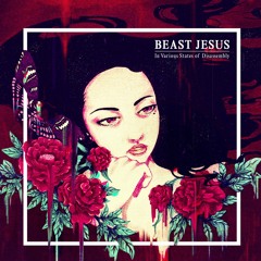 BEAST JESUS - IN VARIOUS STATES OF DISASSEMBLY (FULL EP STREAM)