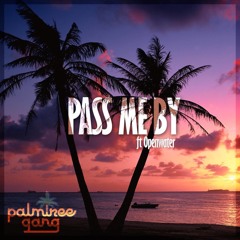 Palm Tree Gang - Pass Me By (feat. Openwater)