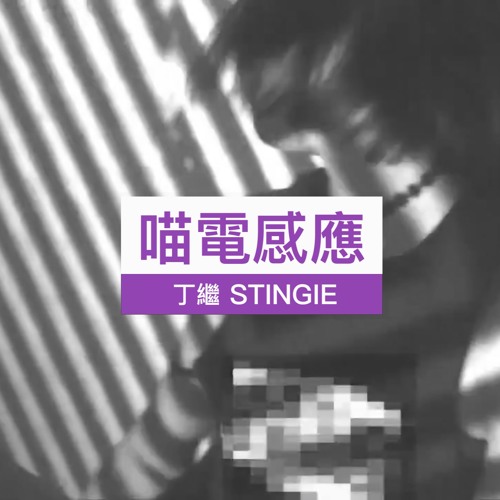 丁繼 Stingie｜喵電感應