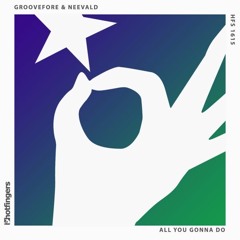 Groovefore & neeVald - All You Gonna Do preview