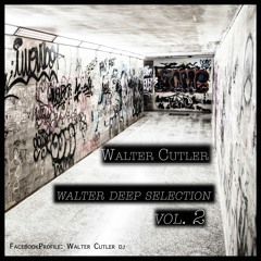Walter DEEP Selection VOL.2