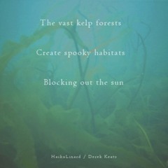 Ambivalent Blue Sun Becoming Cold Shivers - [Naviarhaiku117 - The vast kelp forest]