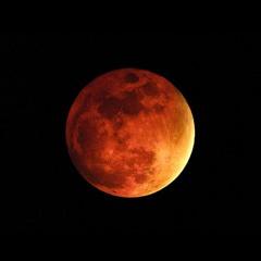 Dance On Mars