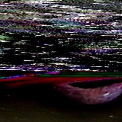 Harm O' Blasty
