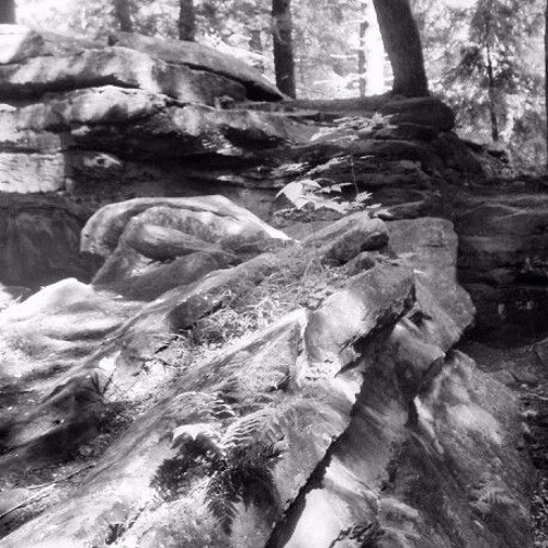 Stream Winter In Mill Creek Park (2016) II. Bear's Den by Haley