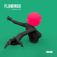 Flamingo - Hypnotised