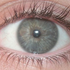 Blink (Live Recording)