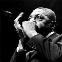 Sonny Boy Williamson II - Let Your Conscience Be Your Guide (RN'B Train COVER)