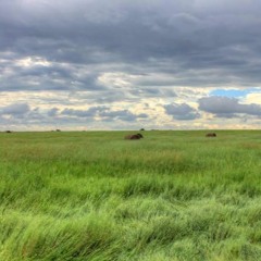 The Dispatch, Ep 9: Silicon Prairie