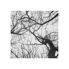 Trees Come Down (Fields Of The Nephilim Cover)