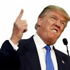Z∆ZI - Trumptator *Cymatics Animals Song Contest