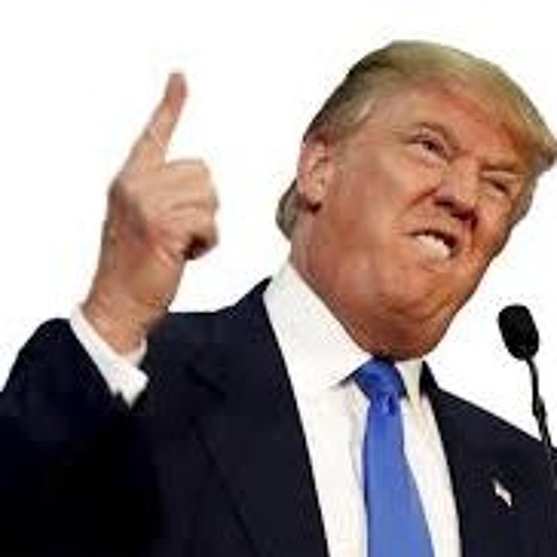 Z∆ZI - Trumptator *Cymatics Animals Song Contest