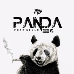 Taylo - Panda Freestyle