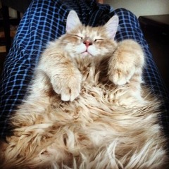 (Untitled) Piano Demo With First Verse Vocal Sketch