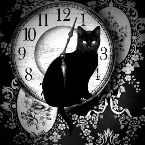 The Cat Lady - Two Stone Rings (Composed by Michal Michalski)