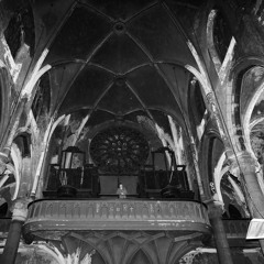 Spednar - amorphaux EP Snippets [SQU004]