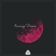 Heavy Anarchy - Missing Pieces