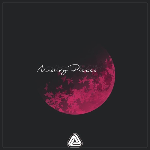 Heavy Anarchy - Missing Pieces