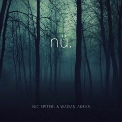 Nic Spiteri & Wadan - nu (Remix)