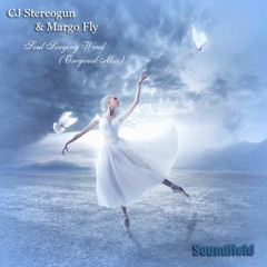 CJ Stereogun & Margo Fly - Soul Singing Wind (Original Mix)