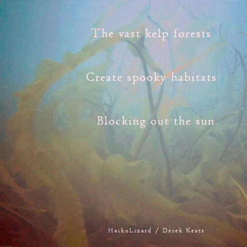 The Vast Kelp Forests (Naviarhaiku117)