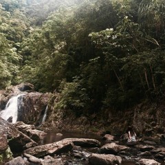 The Psy Connection (demo)