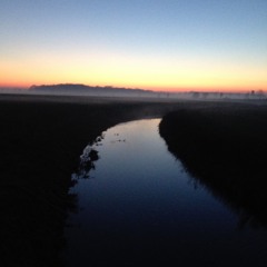 Geliebtes Weites Land